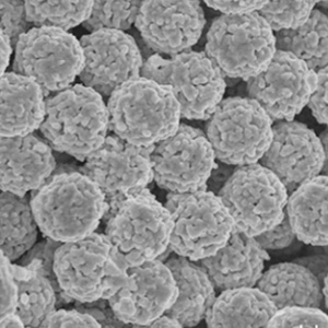 HPLC 固定相的都經(jīng)過(guò)的哪些變化？